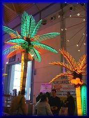 Le palme a LED !